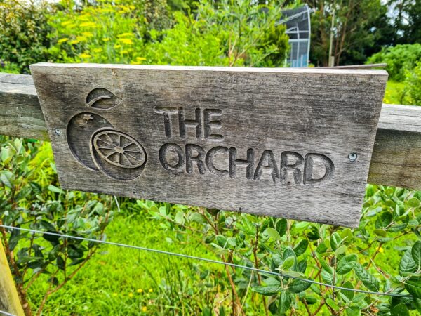 Sign Posts Orchard For Rows Expert Bundle – Grow Great Fruit
